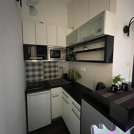 公寓 Skadarlija 贝尔格莱德