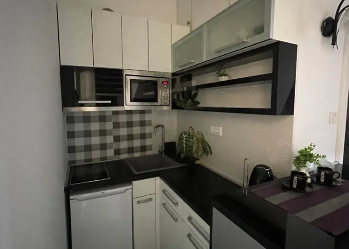 公寓 Skadarlija 贝尔格莱德